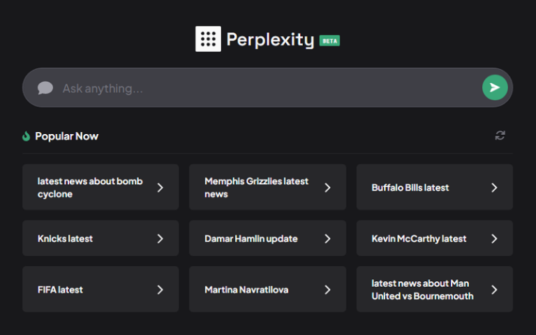 Perplexity AI search engine interface